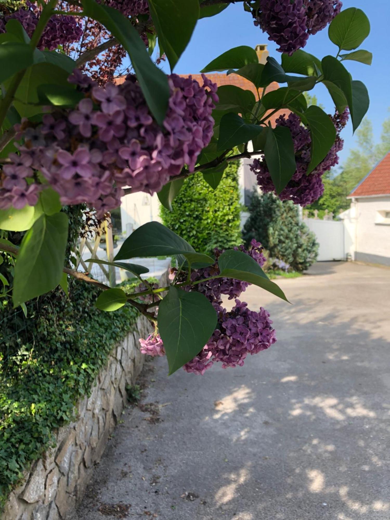 Le Clos De La Pommeraie Carly Bagian luar foto